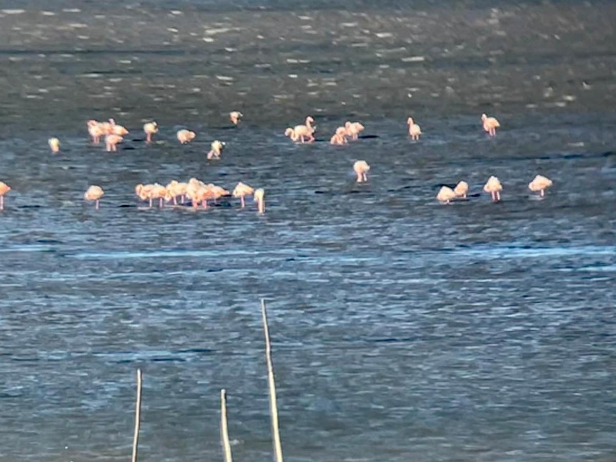바쥬 Parenthese Au Bord De L'Etang 아파트 외부 사진