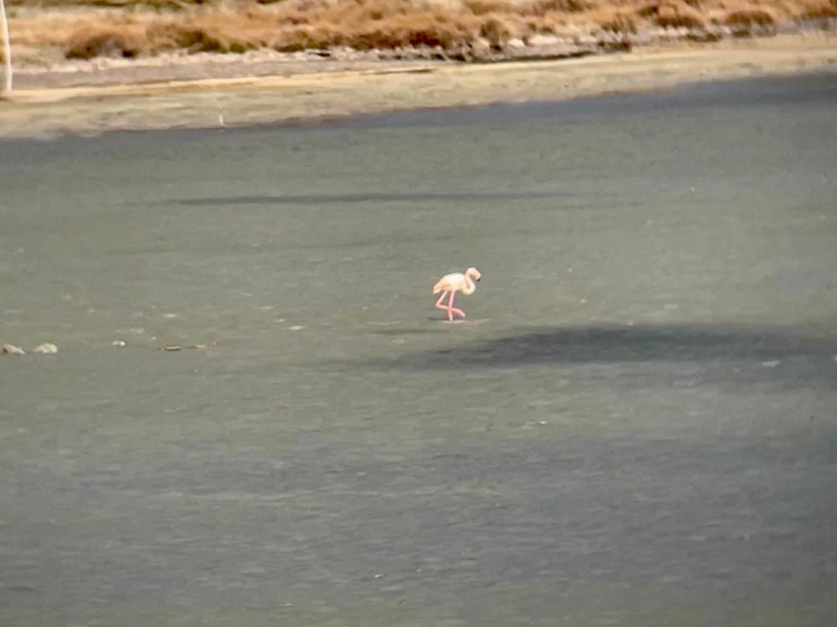 바쥬 Parenthese Au Bord De L'Etang 아파트 외부 사진