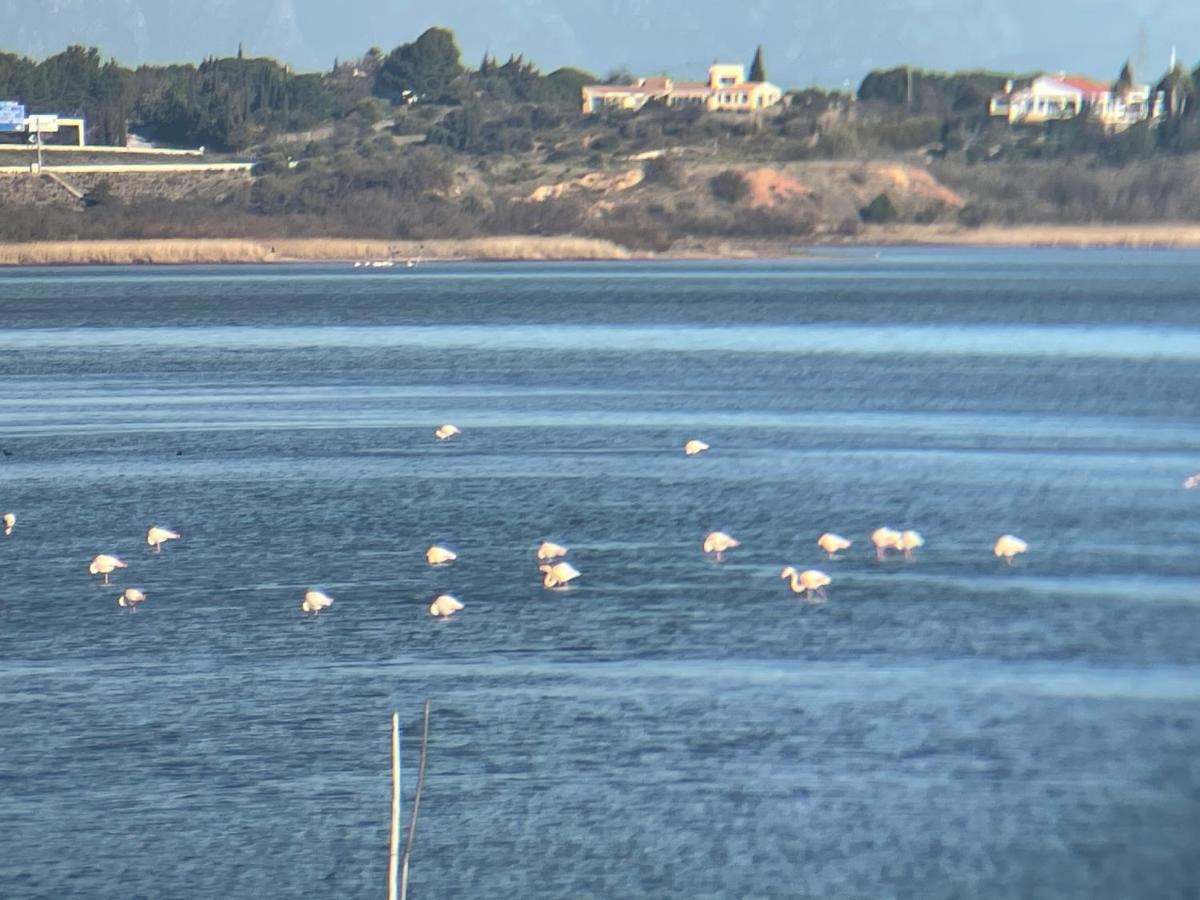 바쥬 Parenthese Au Bord De L'Etang 아파트 외부 사진